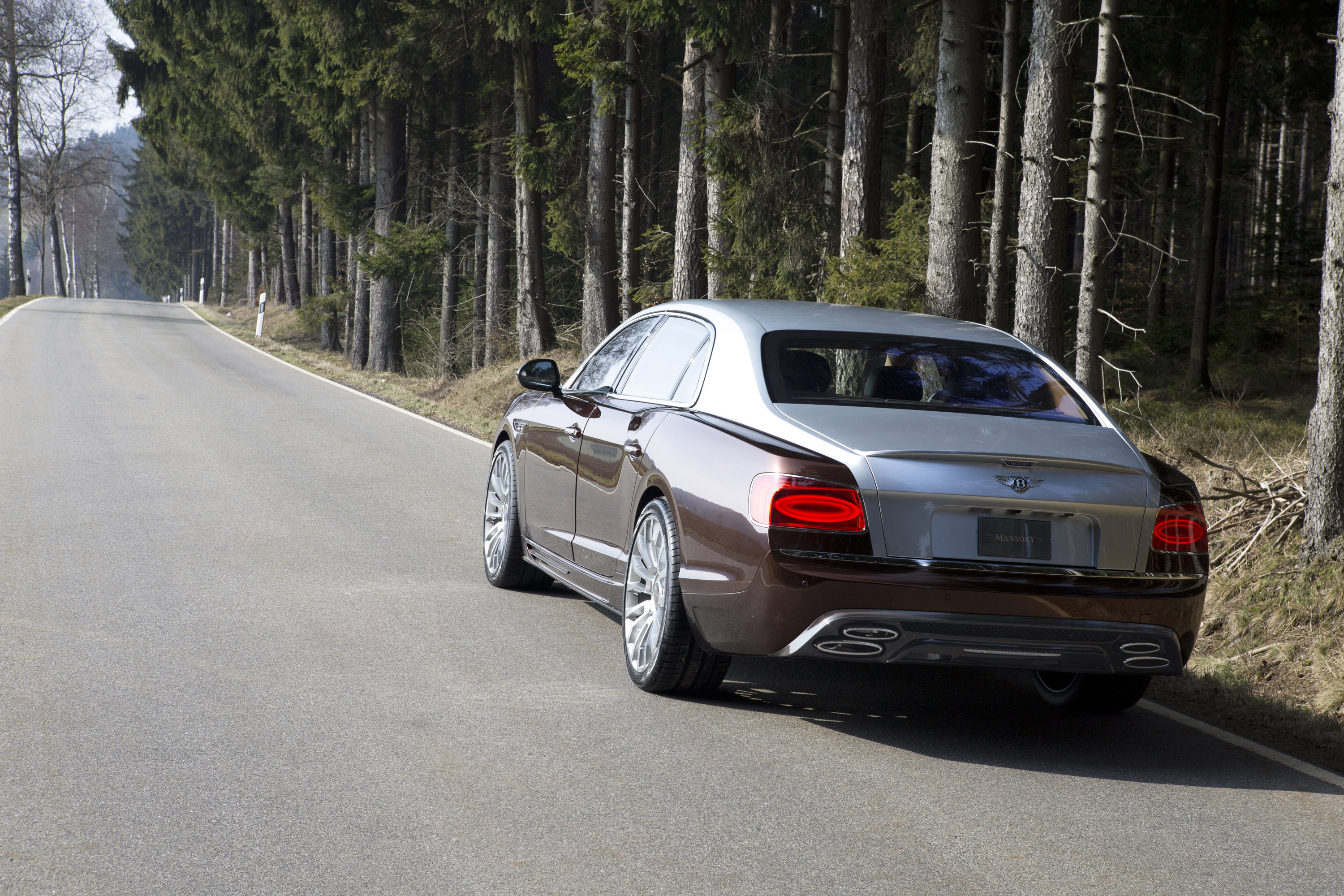 Mansory Bentley Flying Spur photo #3