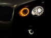 2014 Mansory Bentley Flying Spur thumbnail photo 49050