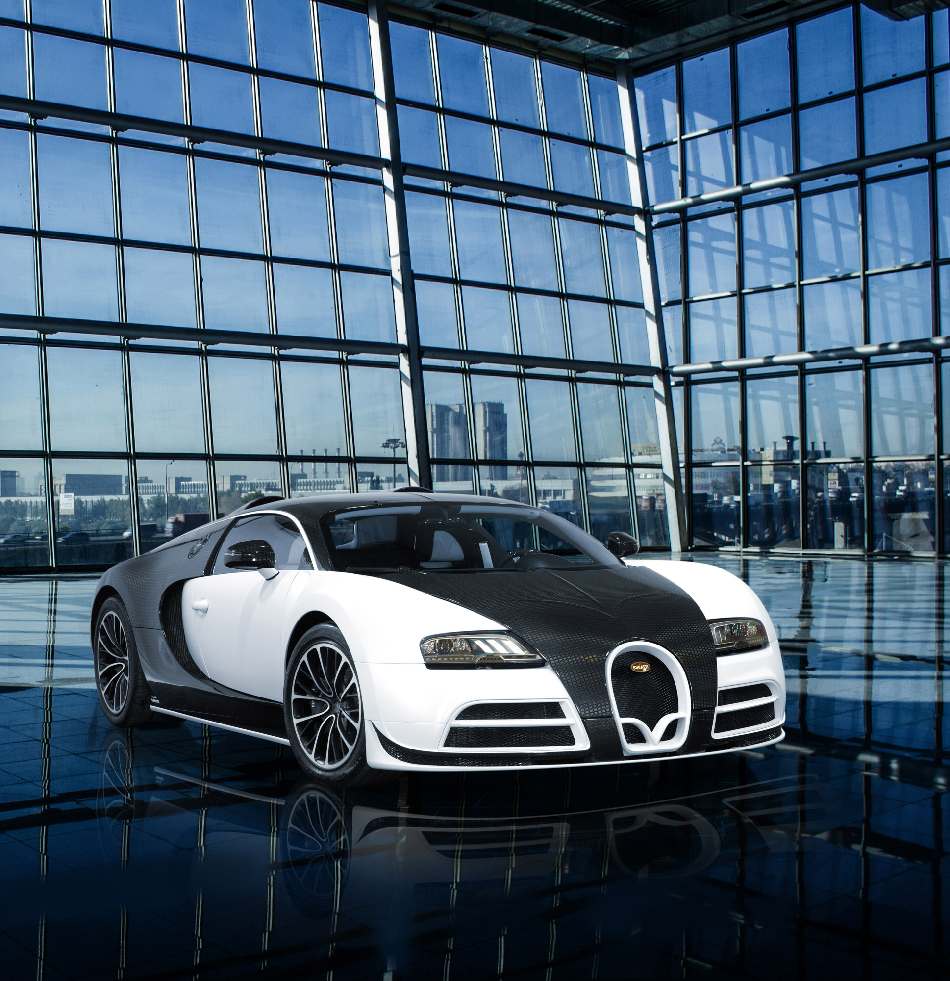 Mansory Bugatti Veyron Vivere photo #1