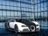 2014 Mansory Bugatti Veyron Vivere thumbnail photo 49031