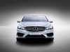 Mercedes-Benz E-Class L 2014