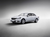 2014 Mercedes-Benz E-Class L thumbnail photo 34624