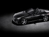 2014 Mercedes-Benz SLK CarbonLOOK Edition
