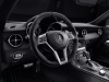 2014 Mercedes-Benz SLK CarbonLOOK Edition thumbnail photo 50198