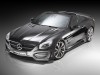 2014 Piecha Design Mercedes-Benz SL R231 Avalange GT-R thumbnail photo 67210