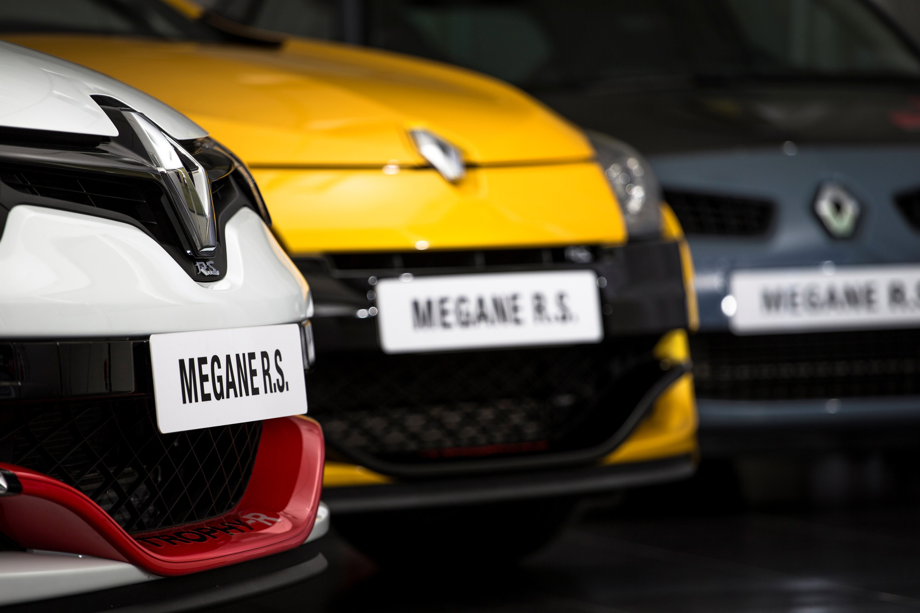Renault Megane R.S. 275 Trophy-R photo #18