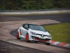 2014 Renault Megane R.S. 275 Trophy-R thumbnail photo 69165