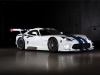 Riley Technologies Dodge Viper GT3-R 2014