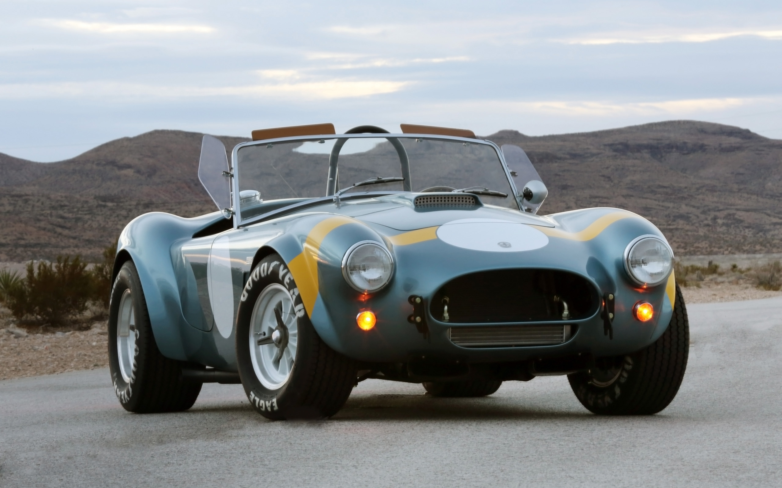 Shelby Cobra 289 FIA 50th Anniversary photo #1