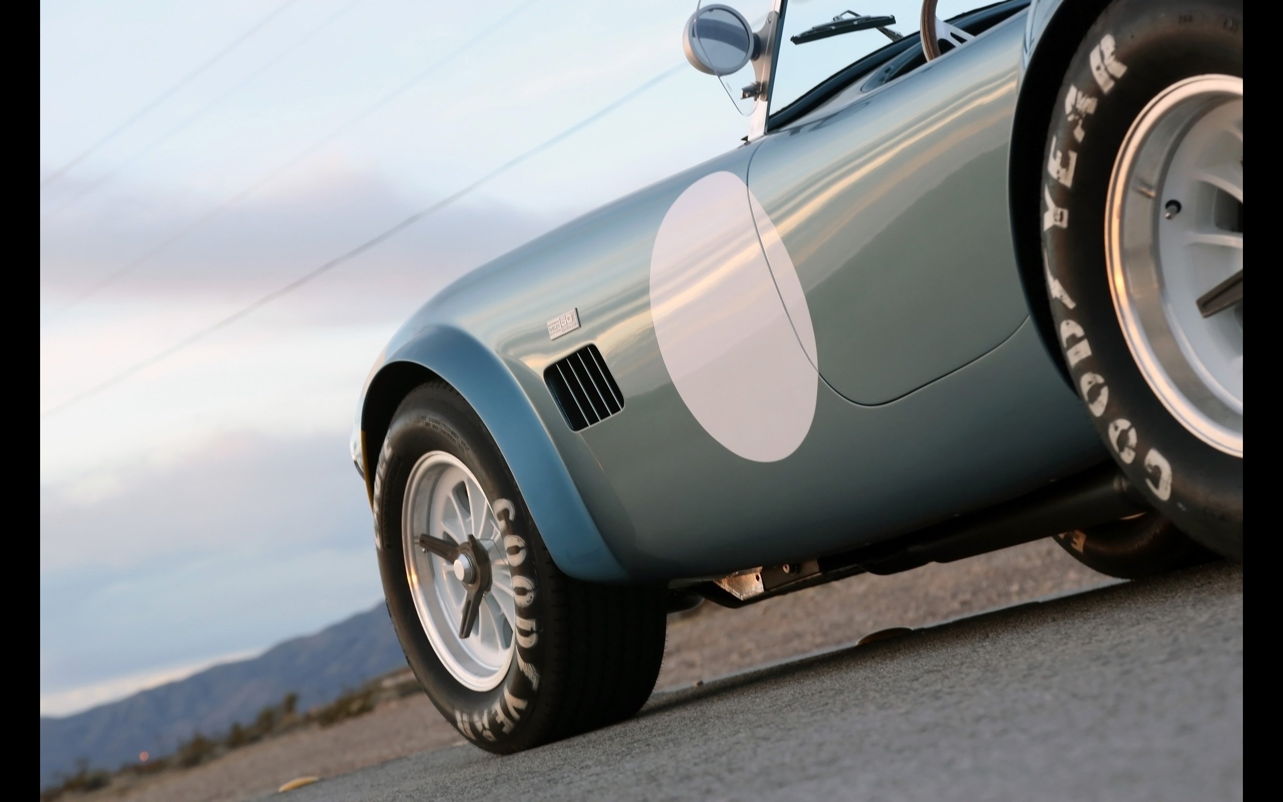 Shelby Cobra 289 FIA 50th Anniversary photo #17