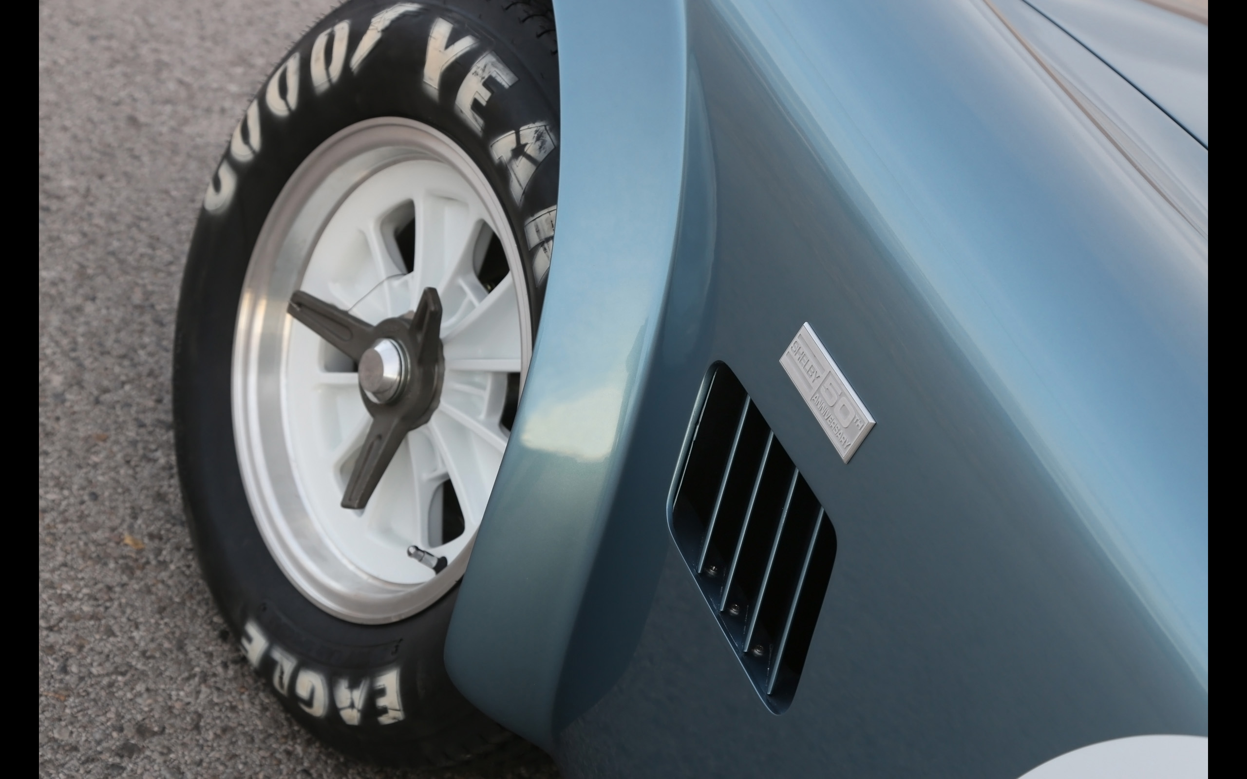 Shelby Cobra 289 FIA 50th Anniversary photo #18