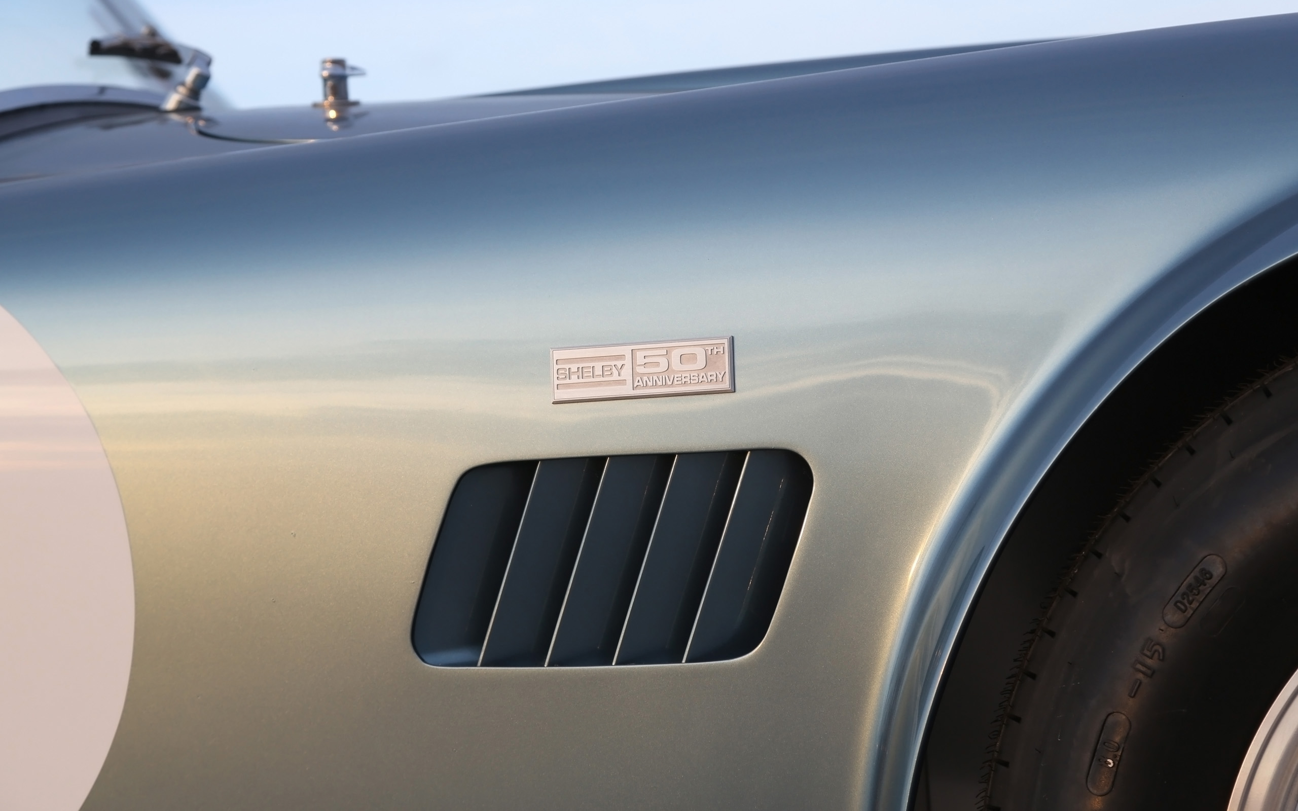 Shelby Cobra 289 FIA 50th Anniversary photo #19