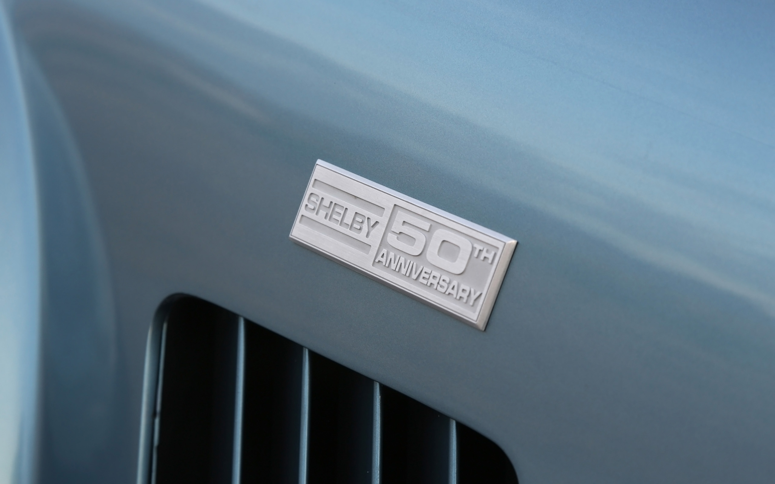 Shelby Cobra 289 FIA 50th Anniversary photo #20