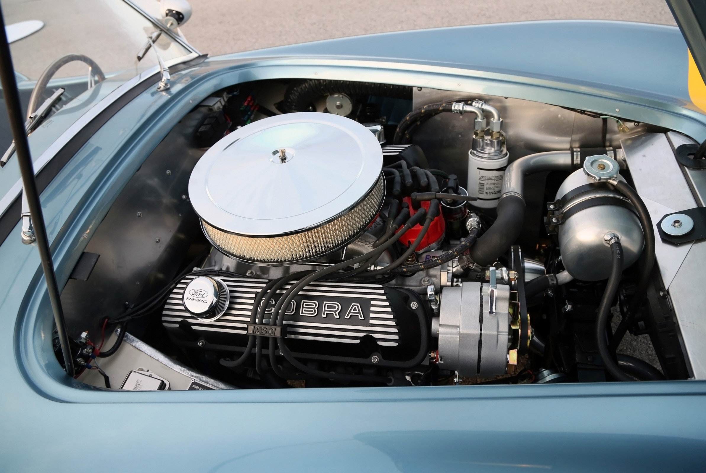 Shelby Cobra 289 FIA 50th Anniversary photo #23