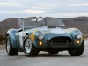 2014 Shelby Cobra 289 FIA 50th Anniversary thumbnail photo 40945