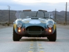 Shelby Cobra 289 FIA 50th Anniversary 2014