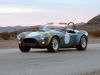 2014 Shelby Cobra 289 FIA 50th Anniversary thumbnail photo 40948