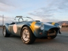 2014 Shelby Cobra 289 FIA 50th Anniversary thumbnail photo 40950