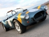 Shelby Cobra 289 FIA 50th Anniversary 2014
