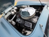 Shelby Cobra 289 FIA 50th Anniversary 2014