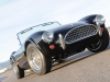 Shelby Cobra 50th Anniversary 2014