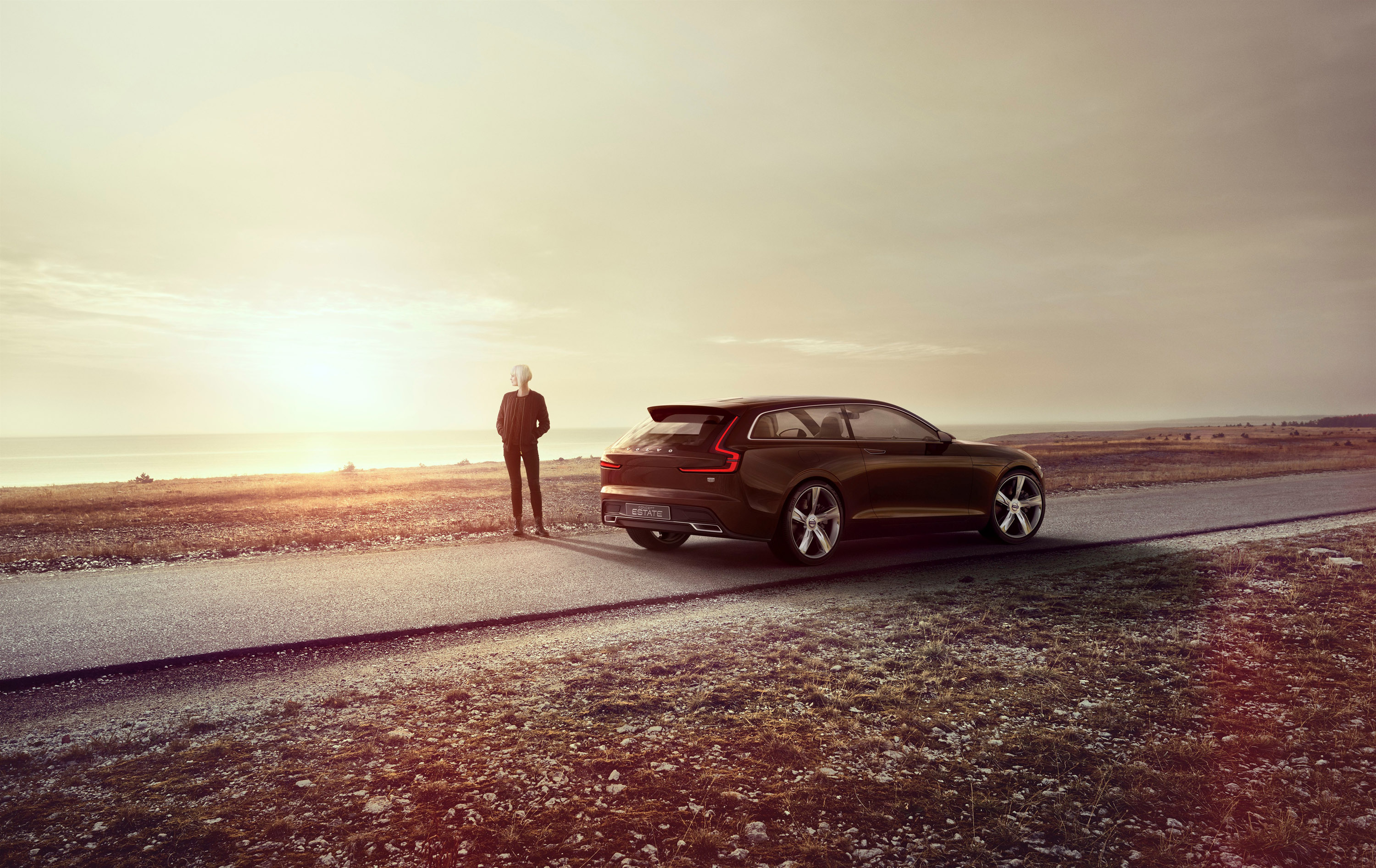 Volvo Estate Concept photo #15