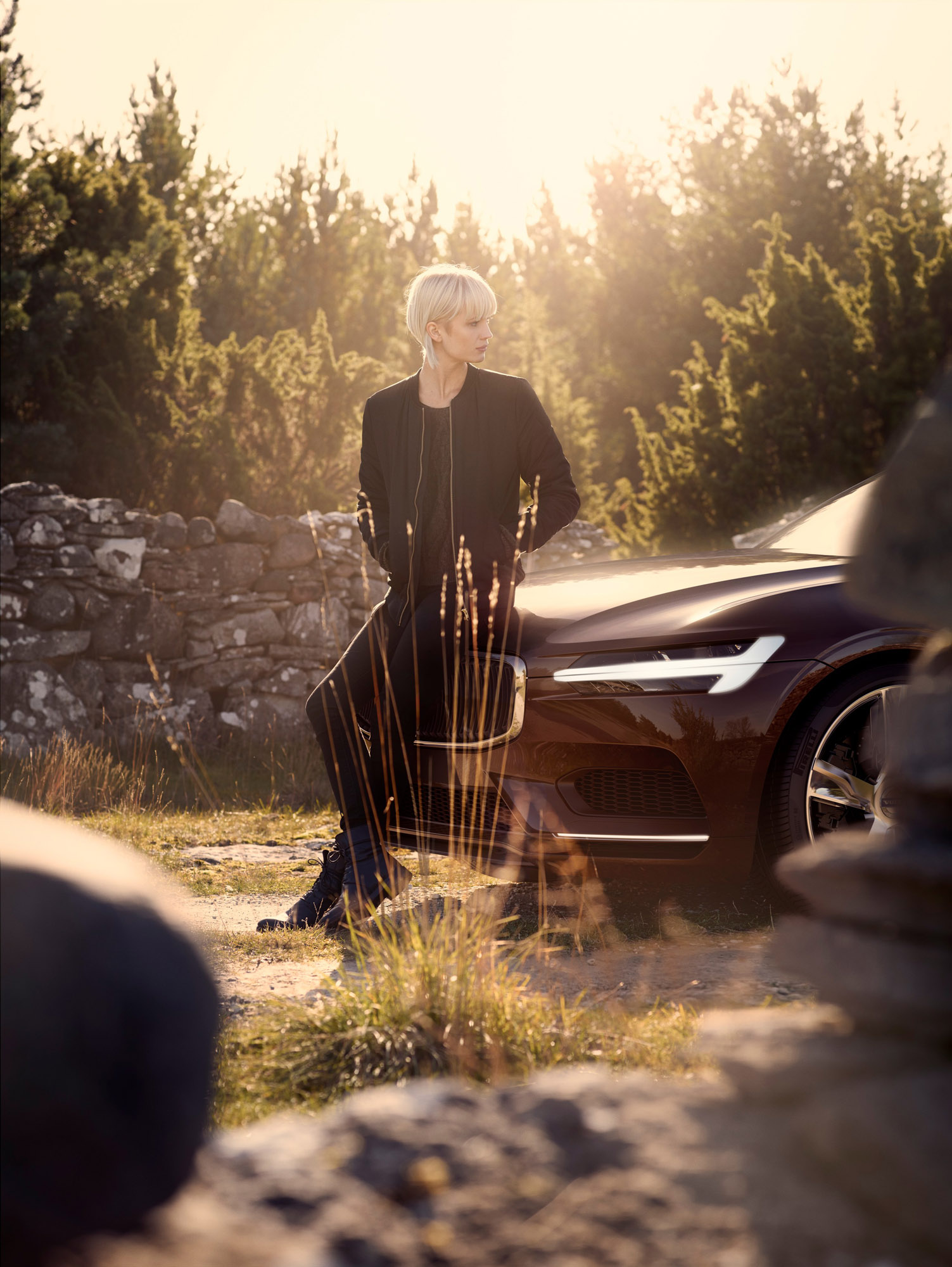 Volvo Estate Concept photo #21