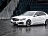 2014 Wald Mercedes-Benz E-Class Black Bison Edition thumbnail photo 42560