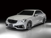 2014 Wald Mercedes-Benz E-Class Black Bison Edition thumbnail photo 42561