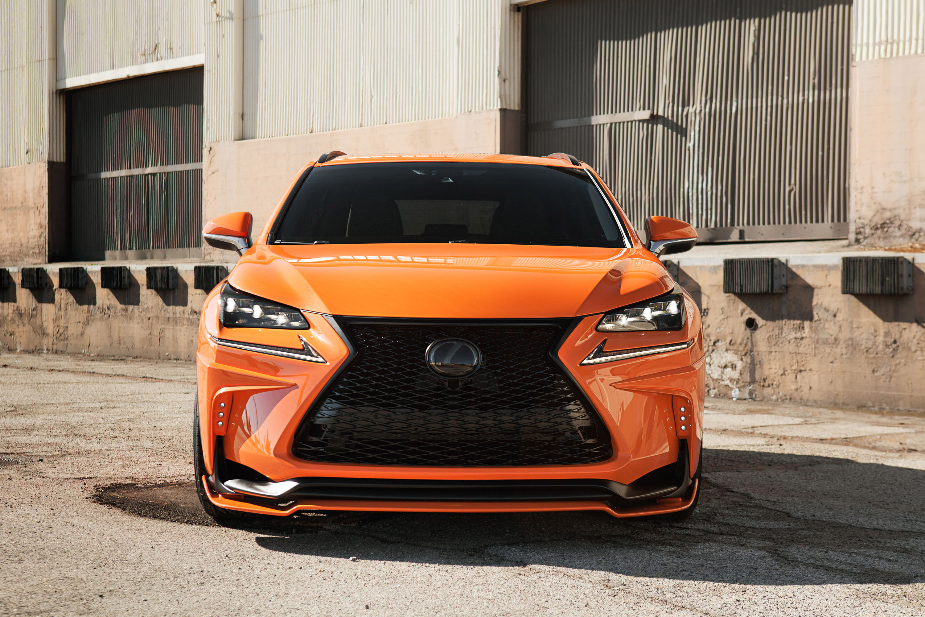 360 Elite Motorworks Lexus NX 200t F Sport photo #2