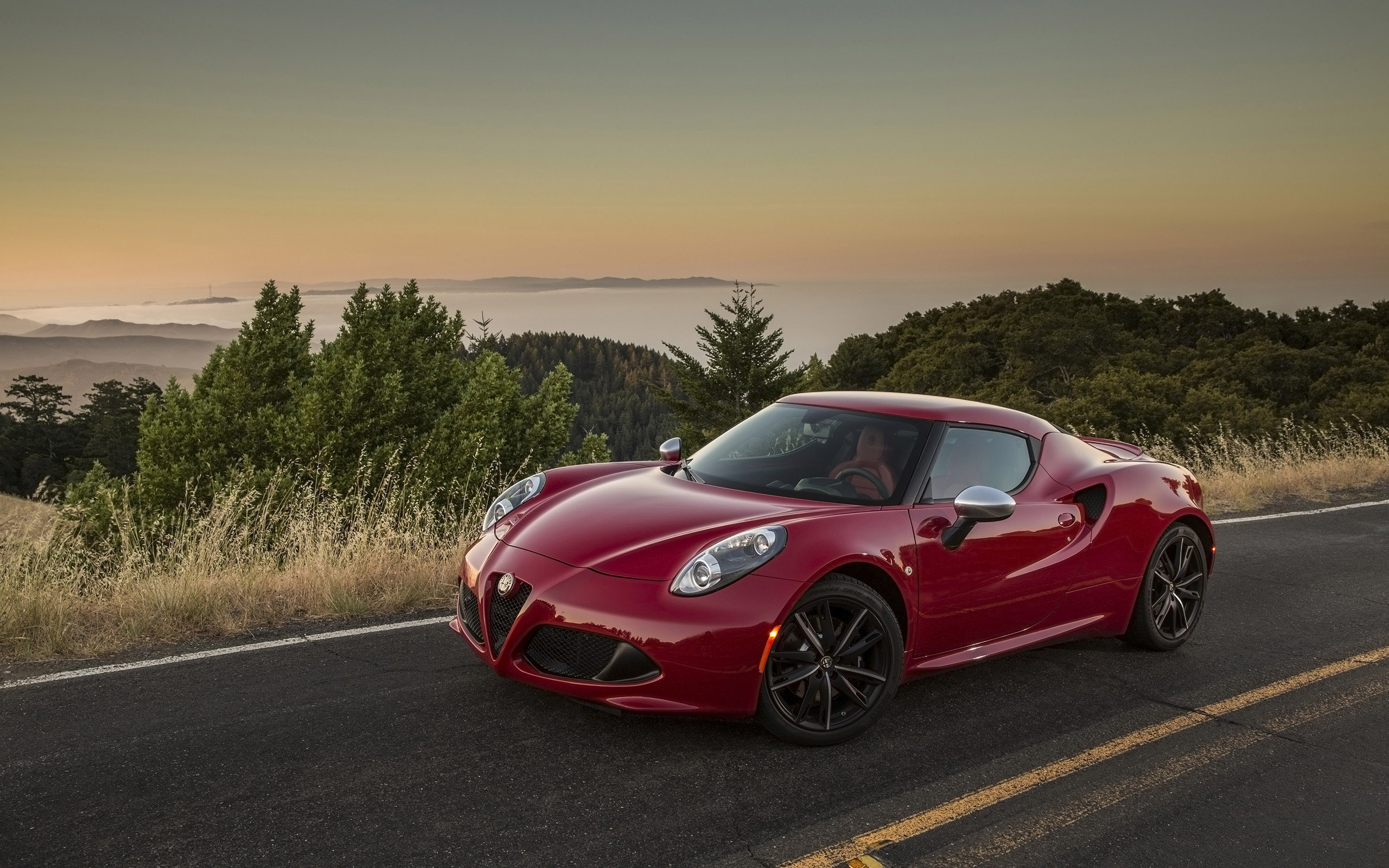 Alfa Romeo 4C Coupe US-Version photo #17
