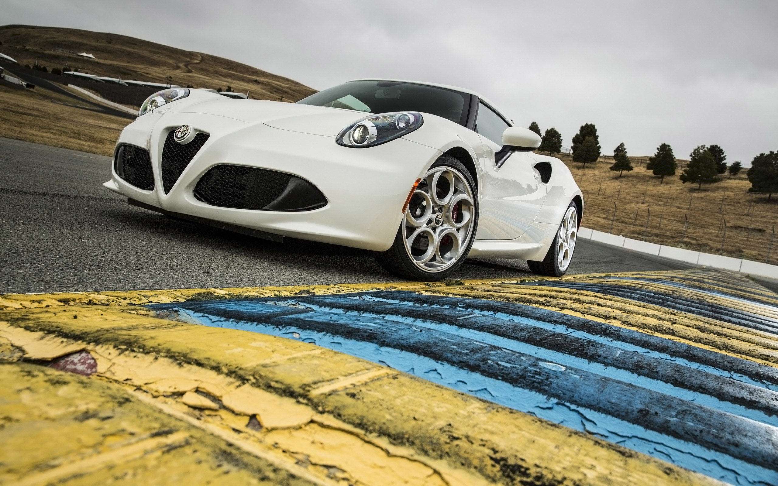 Alfa Romeo 4C Coupe US-Version photo #35
