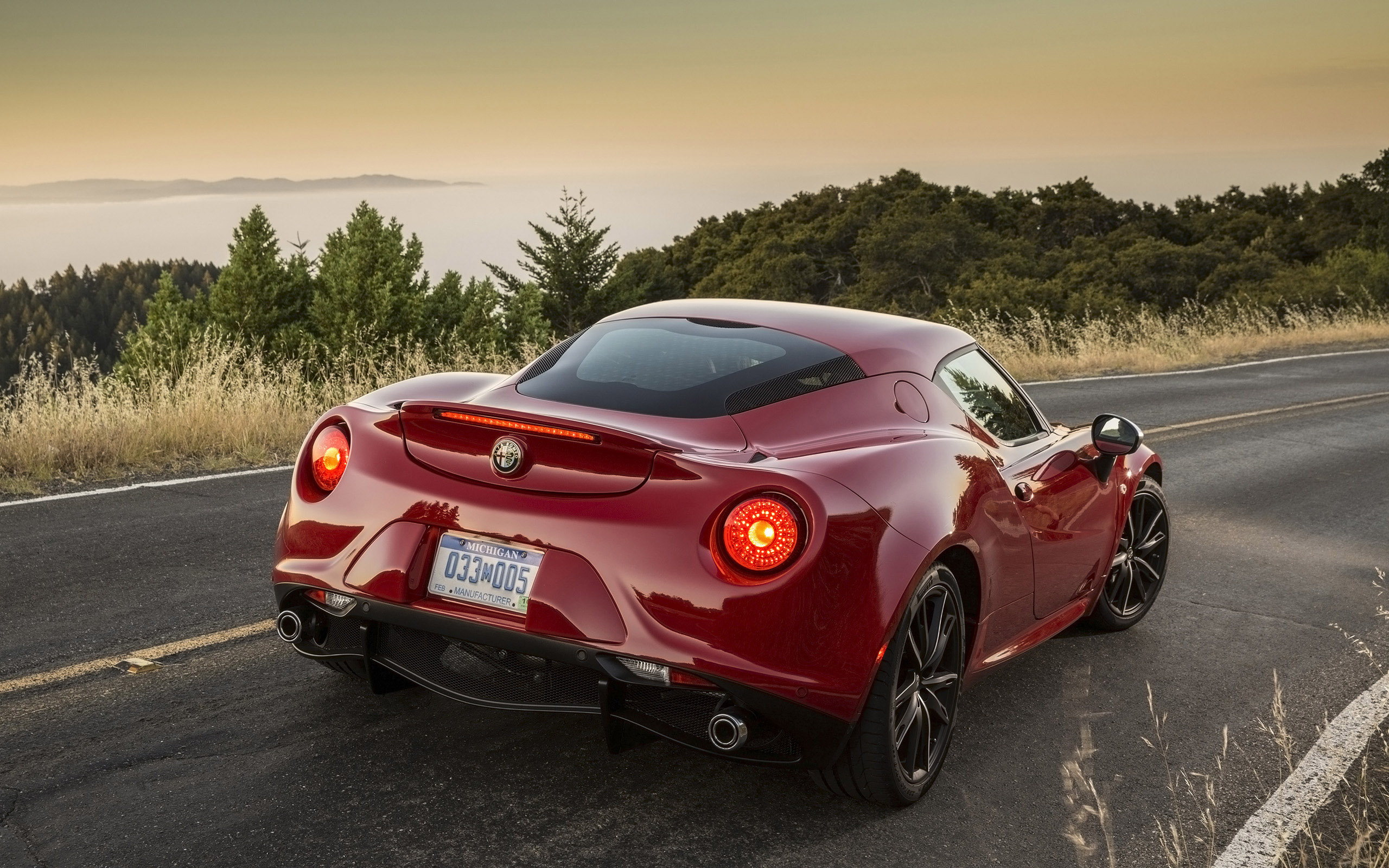 Alfa Romeo 4C Coupe US-Version photo #60