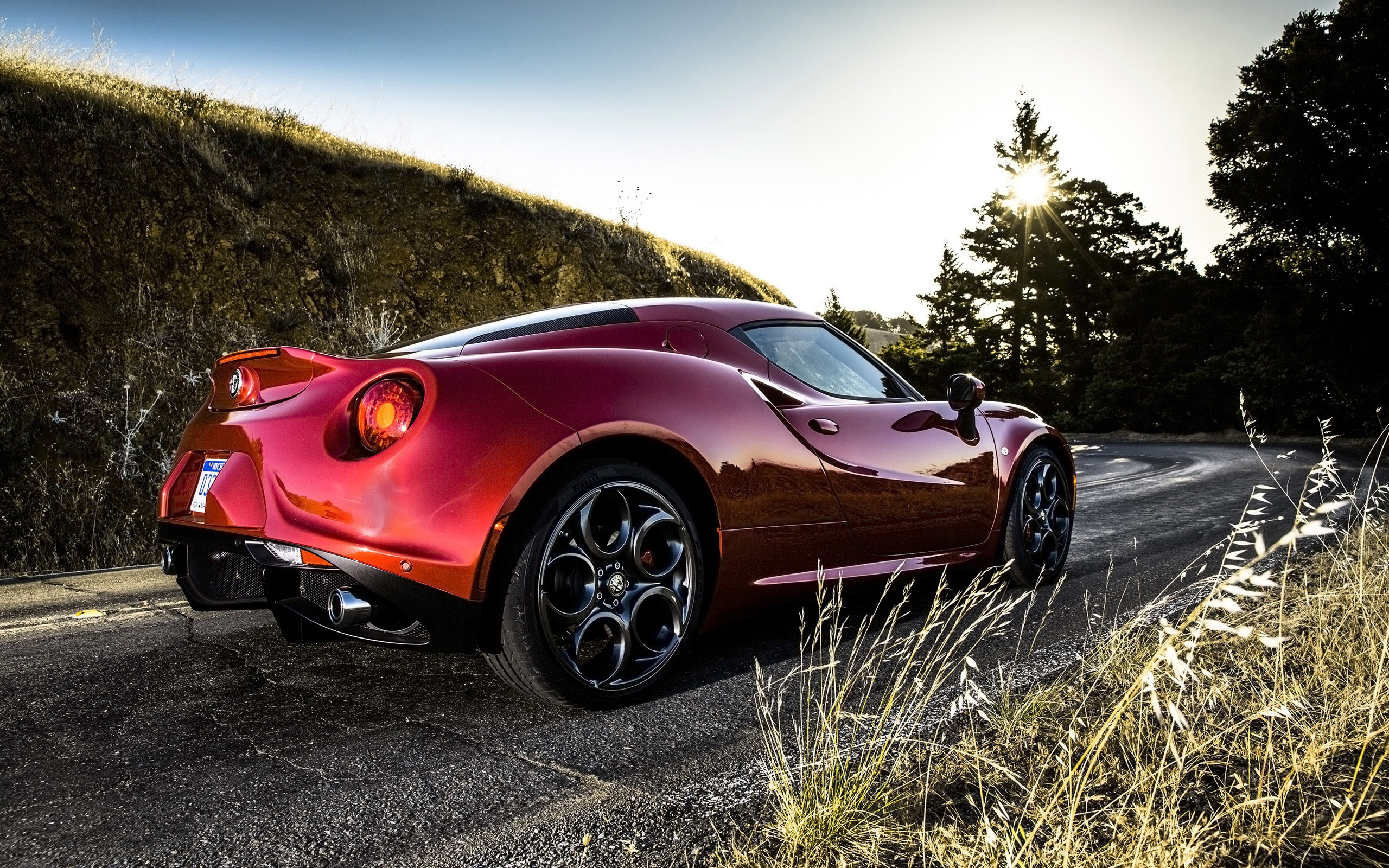 Alfa Romeo 4C Coupe US-Version photo #65