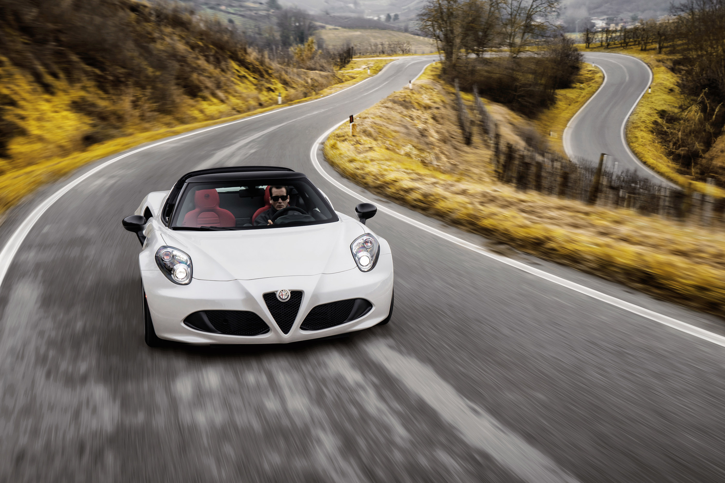 Alfa Romeo 4C Spider photo #15