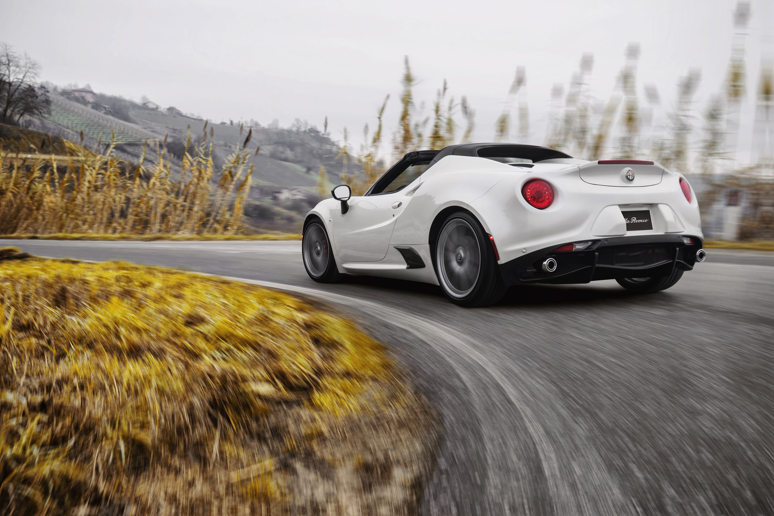 Alfa Romeo 4C Spider photo #30