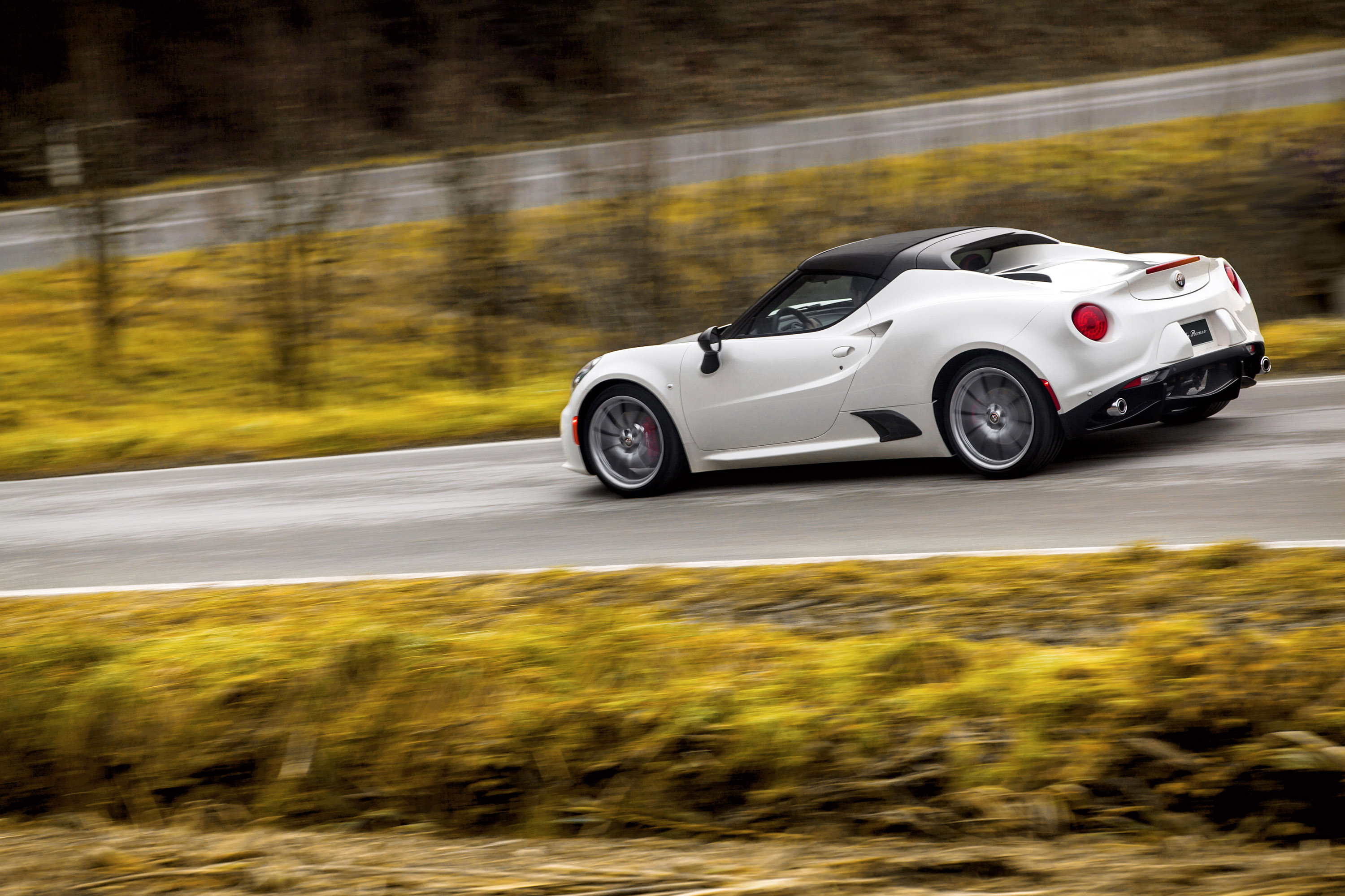 Alfa Romeo 4C Spider photo #35