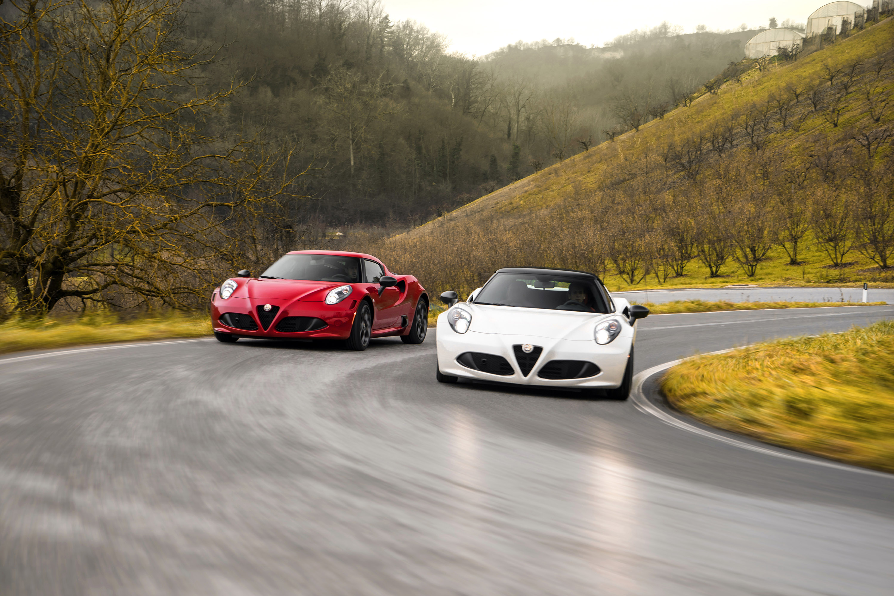 Alfa Romeo 4C Spider photo #44
