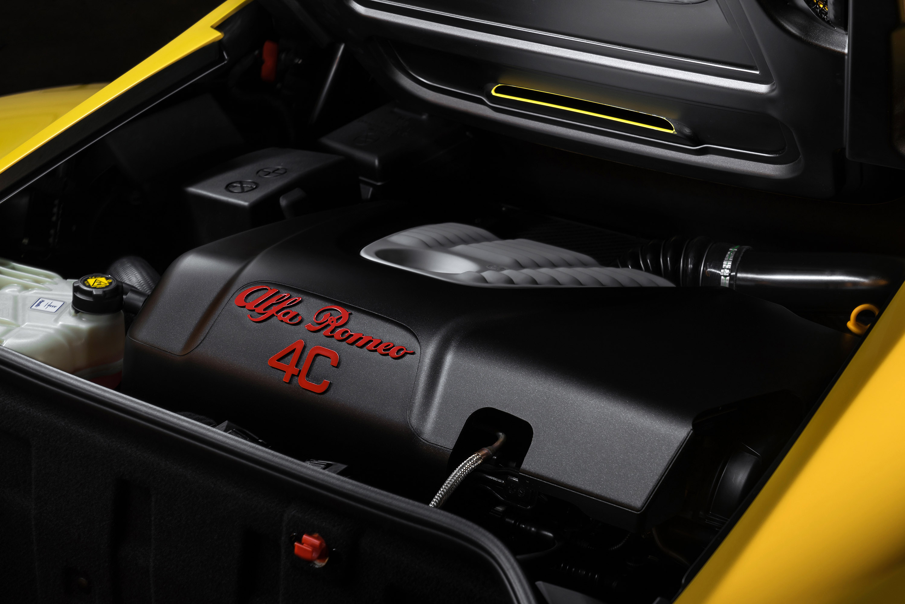 Alfa Romeo 4C Spider photo #59