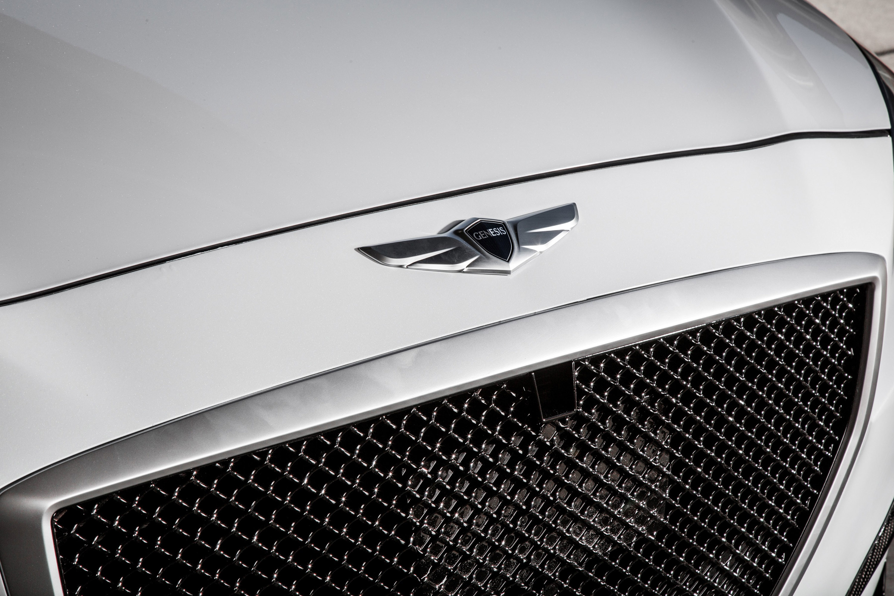 ARK Hyundai Genesis Sedan photo #15
