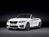 2015 BMW 2-Series Convertible M Performance Parts thumbnail photo 83400