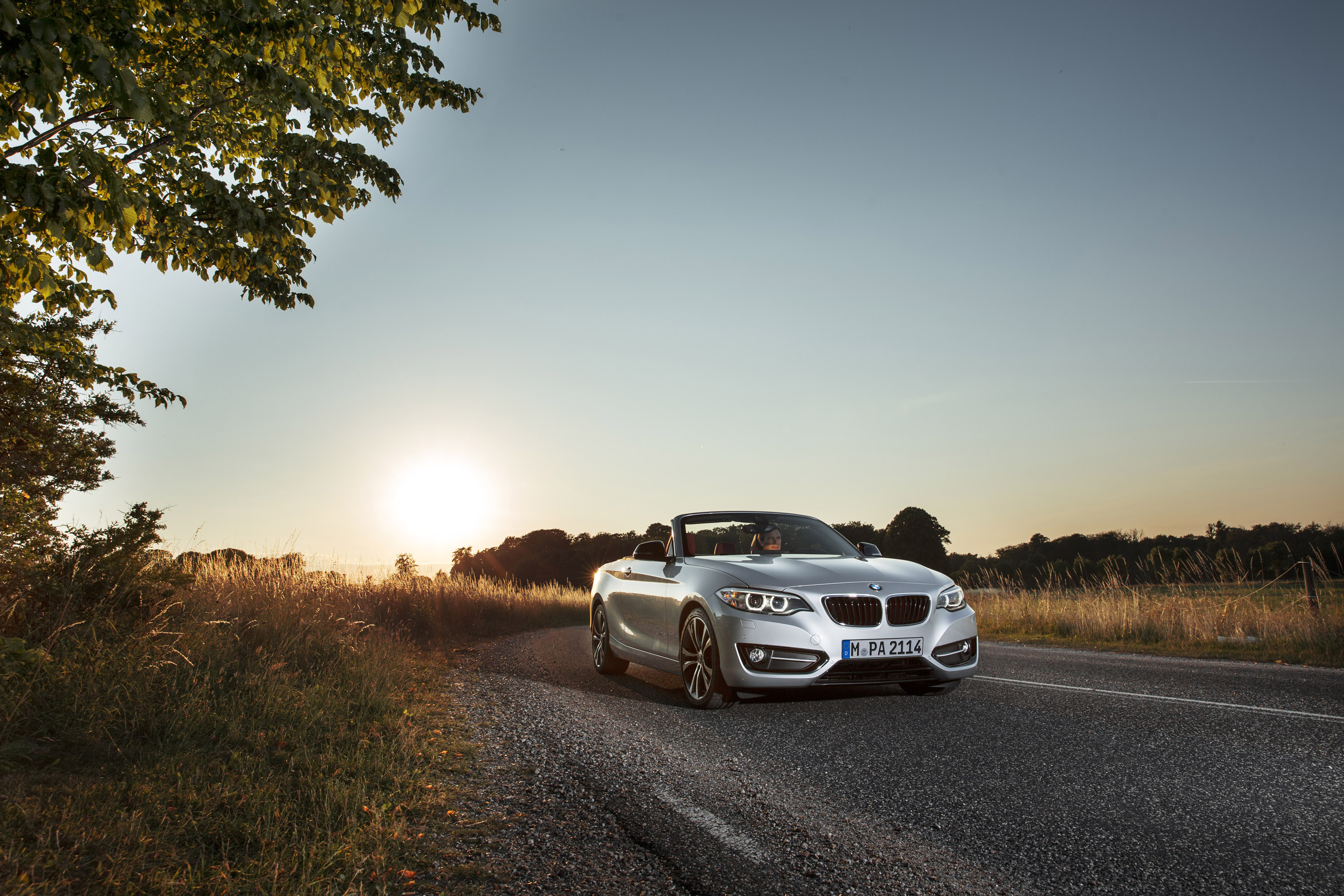 BMW 2-Series Convertible photo #15