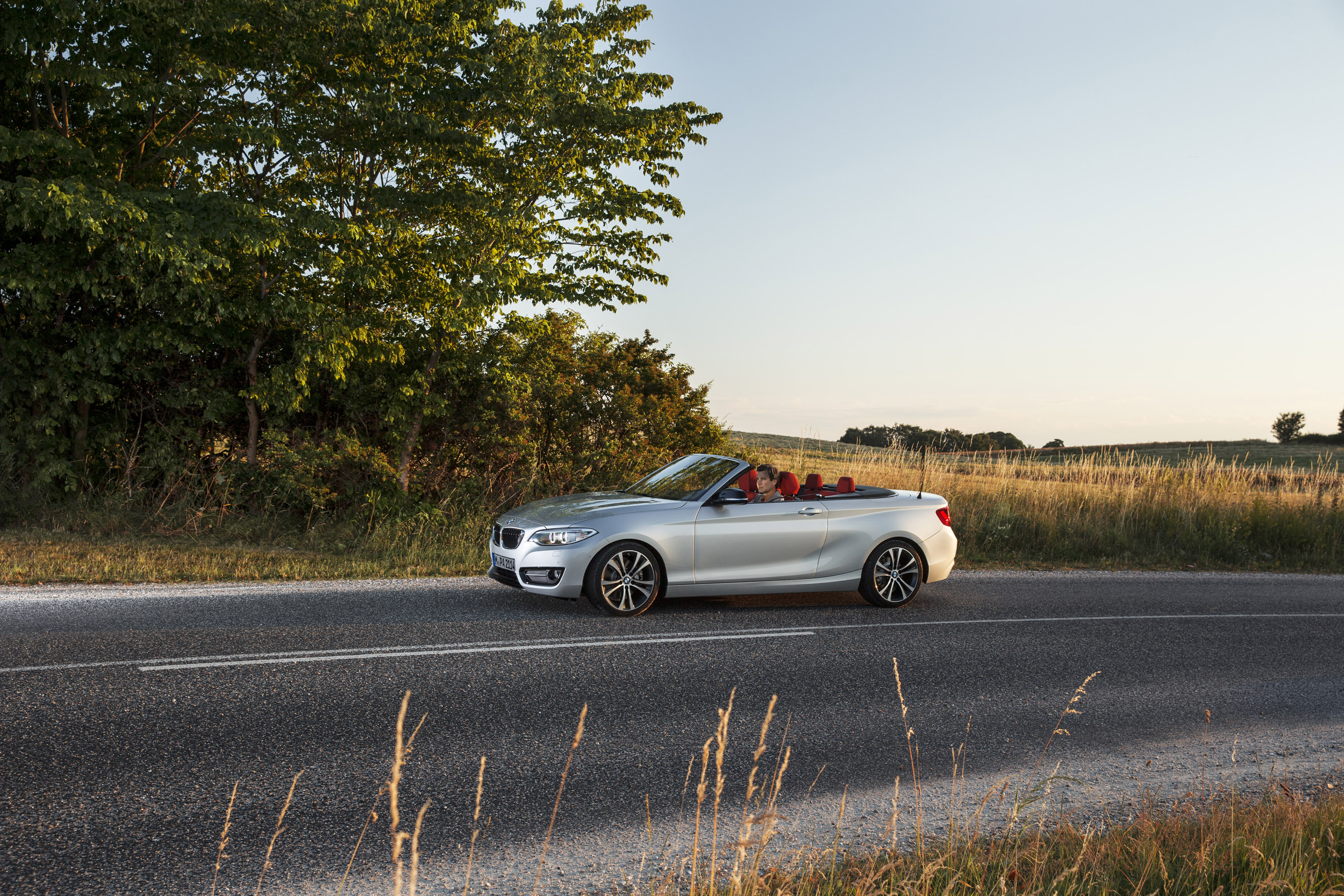 BMW 2-Series Convertible photo #16