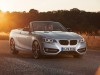 2015 BMW 2-Series Convertible thumbnail photo 75640