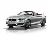 BMW 2-Series Convertible 2015