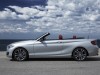 BMW 2-Series Convertible 2015