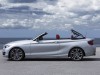 BMW 2-Series Convertible 2015