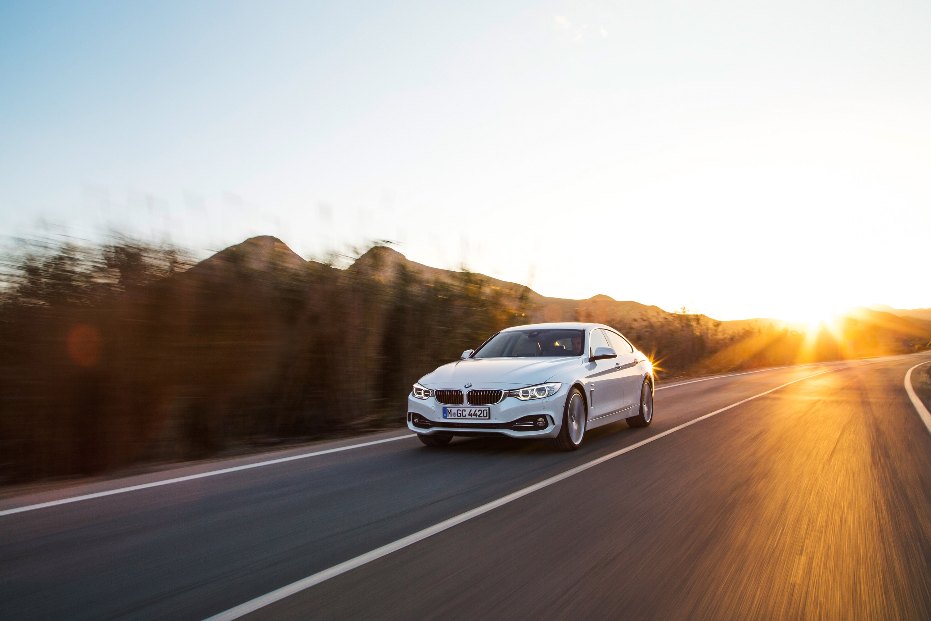 BMW 4-Series Gran Coupe photo #26