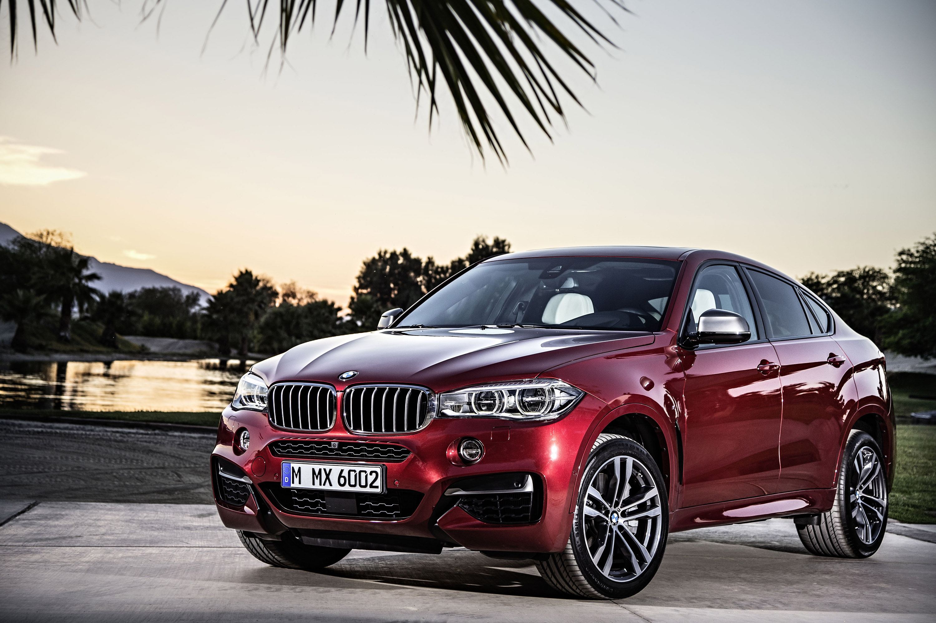 BMW X6 photo #1