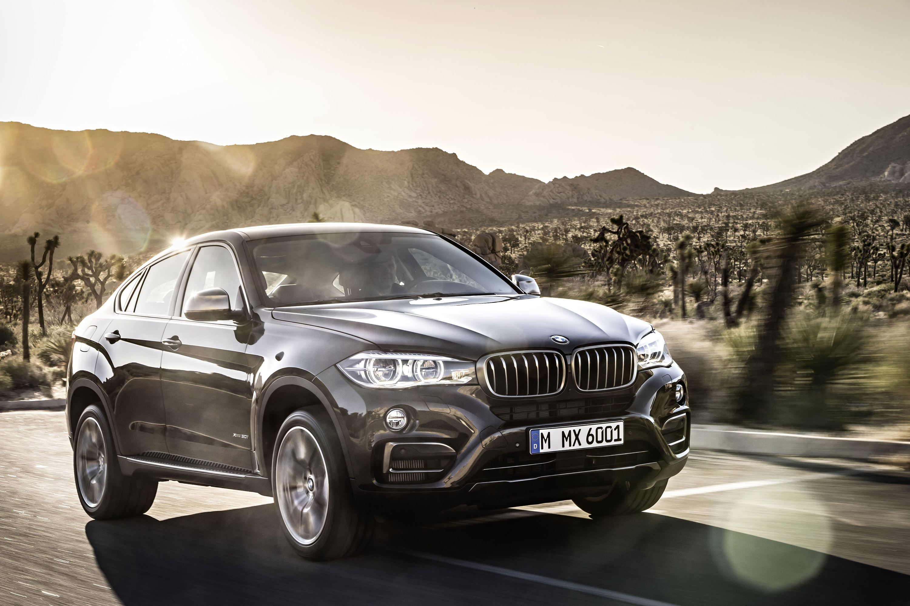 BMW X6 photo #20